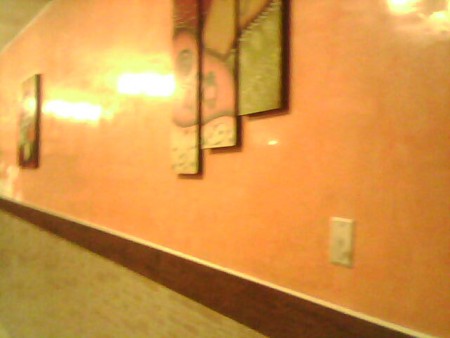 estuco